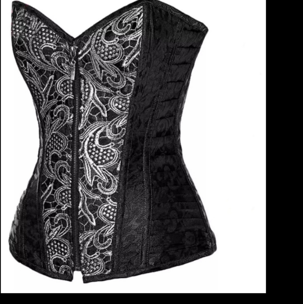 Agent Provocateur Embroidered steampunk corset